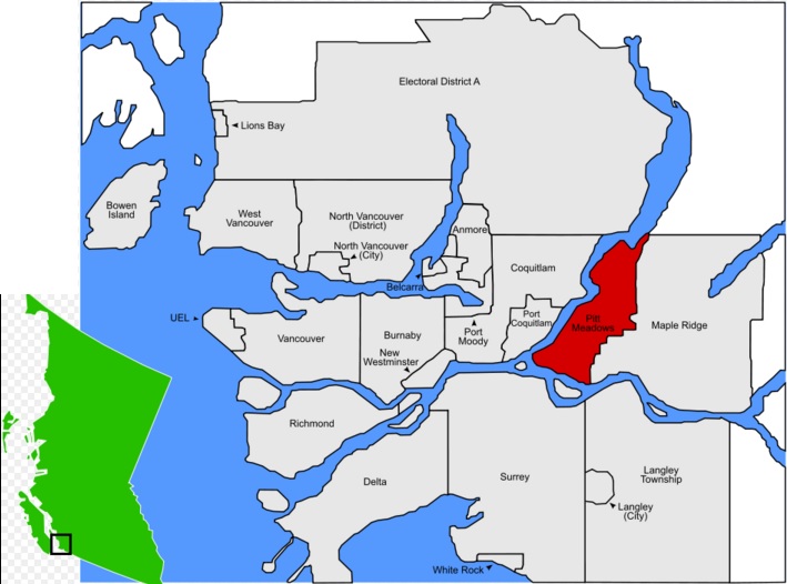 Pitt Meadows Atlas Pest & Wildlife Control