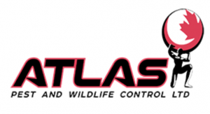 Atlas pest control logo